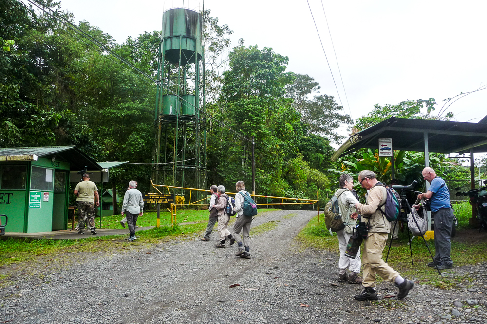 Days 3 to 6: La Selva